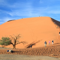 Die Wüste Namib, Düne 45, Aufnahmedetails => Canon EOS 5D Mark IV | f13 | 50mm | Iso 500 | 0.01s