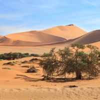 Die Wüste Namib, Sossusvlei Umfeld, Aufnahmedetails => Canon EOS 5D Mark IV | f11 | 105mm | Iso 400 | 0.005s