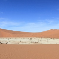 Die Wüste Namib, Deadvlei, Aufnahmedetails => Canon EOS 5D Mark II | f9 | 16mm | Iso 100 | 0.008s