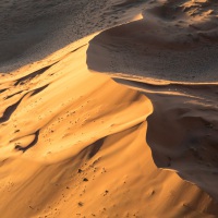 Die Wüste Namib, Düne im Abendlicht, Aufnahmedetails => Canon EOS 5D Mark IV | f8 | 90mm | Iso 2500 | 0.001s