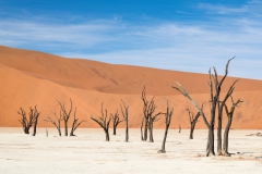 Namib-Wüste, Deadvlei