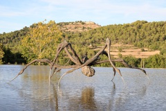 Château La Coste: eine Riesenspinne im Infinity Pool