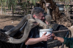 Fütterung inklusive einer Nackenmassage
