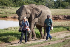 Elephant Sanctuary Park, Aufnahmedetails => Canon EOS 5D Mark II | f5 | 142mm | Iso 200 | 0.001s