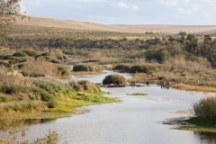 Bontebok-Nationalpark, Aufnahmedetails => Canon EOS 5D Mark II | f9 | 135mm | Iso 100 | 0.00625s
