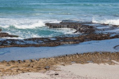 De Hoop Nature Reserve, Gezeiten Pool, Aufnahmedetails => Canon EOS 5D Mark II | f9 | 105mm | Iso 100 | 0.01s