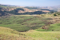 Drakensberge, Monks Cowl Nature Reserve