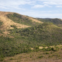 Landschaft im Hluhluwe-iMfolozi Park