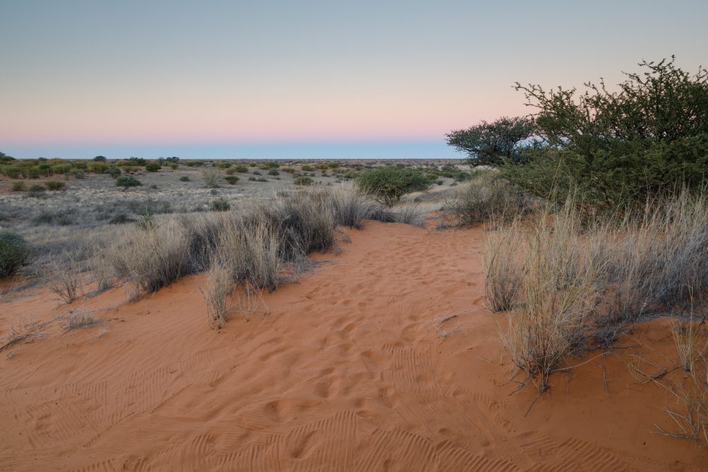 Reisebericht-Afrika-2018, Kalahari