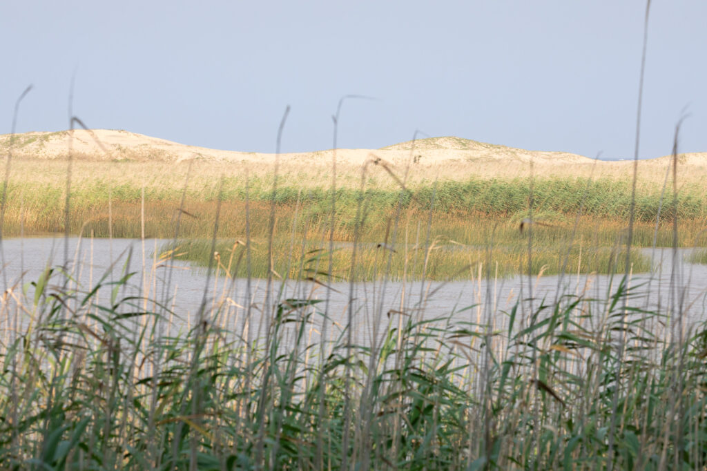 Suedafrika-2023, St. Lucia, iSimangaliso Wetland Park