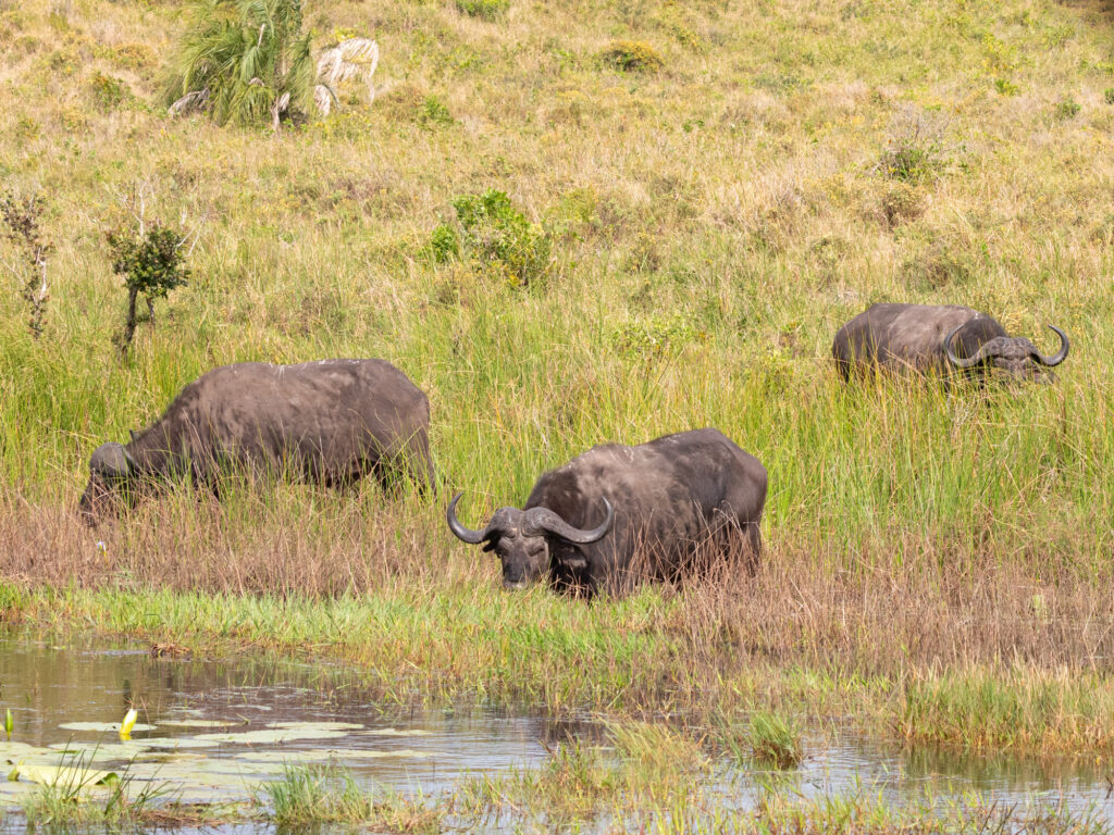 Suedafrika-2023-St-Lucia-25